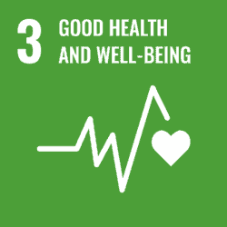 SDG 3 Good Health and Well-Being